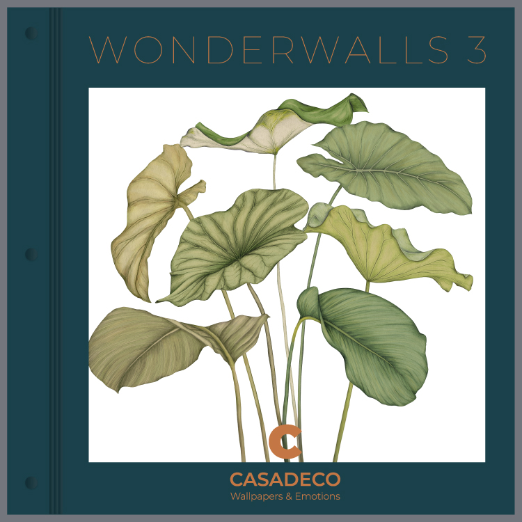 WONDERWALLS-3